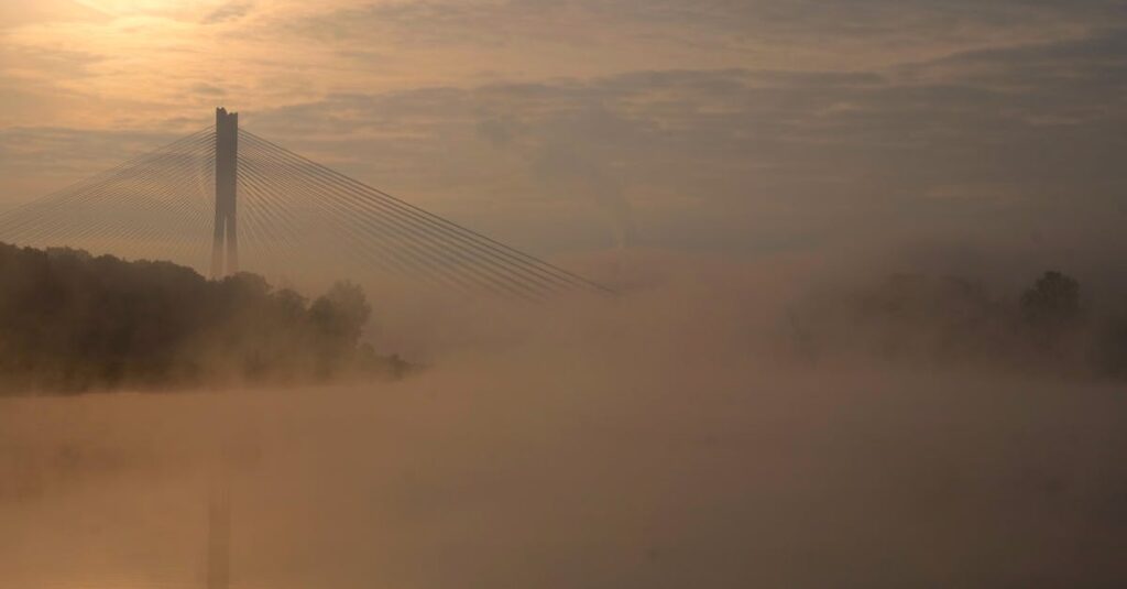 一部の家事をやめて空いた時間に好きなことを楽しむ女性の様子