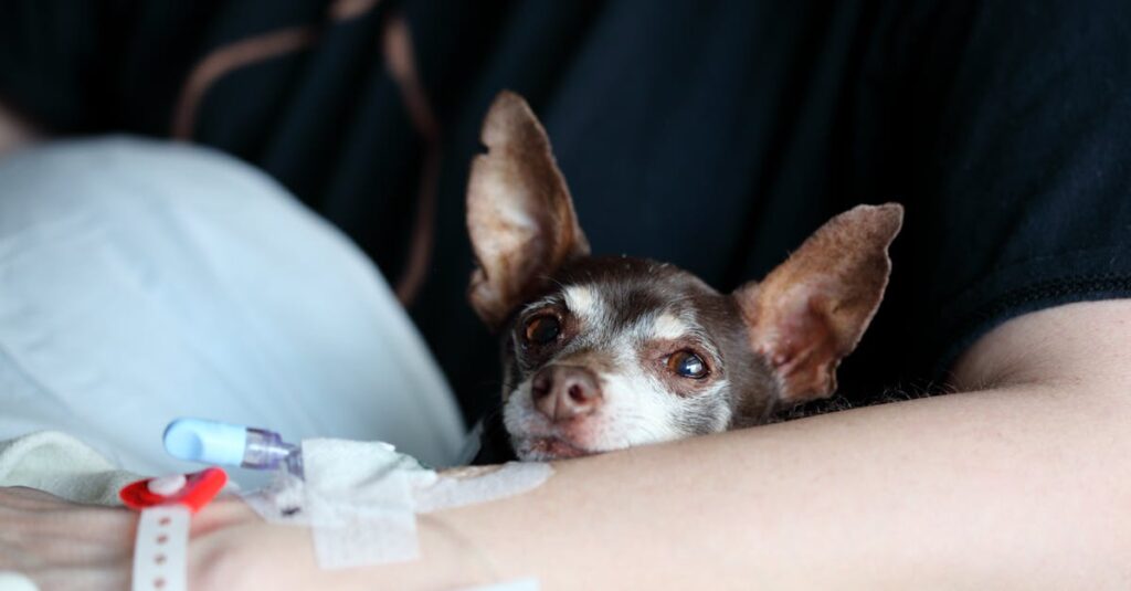 家事分担において感情ケアや感謝をルール化している家庭のイメージ