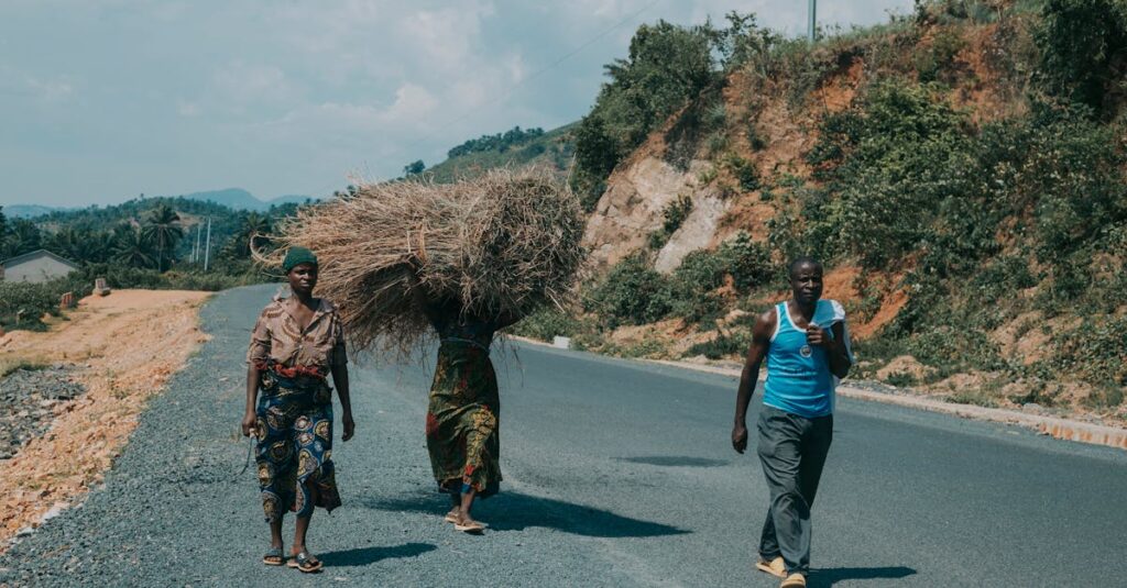 性別による家事役割の偏りを示すグラフやイメージ図
