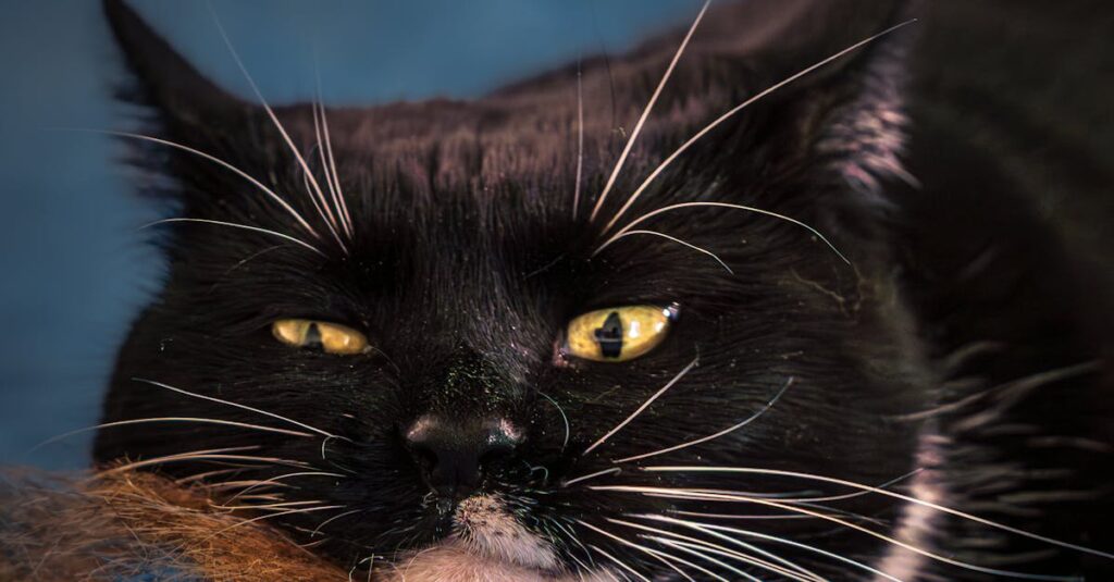 時短家事によって心にゆとりが生まれリラックスしている女性の様子