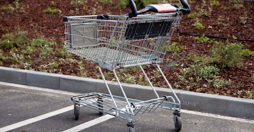 買い物リストの型を導入して、効率よく楽しく買い物している家族のイメージ。生活が整い、満足度が向上している様子。