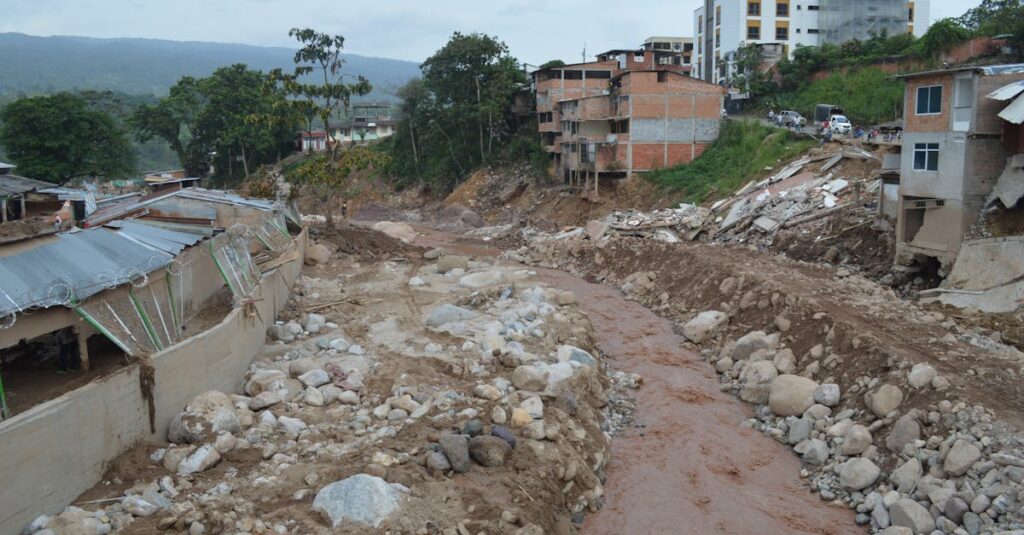 災害時でもネットスーパーで生活必需品を確保している家庭