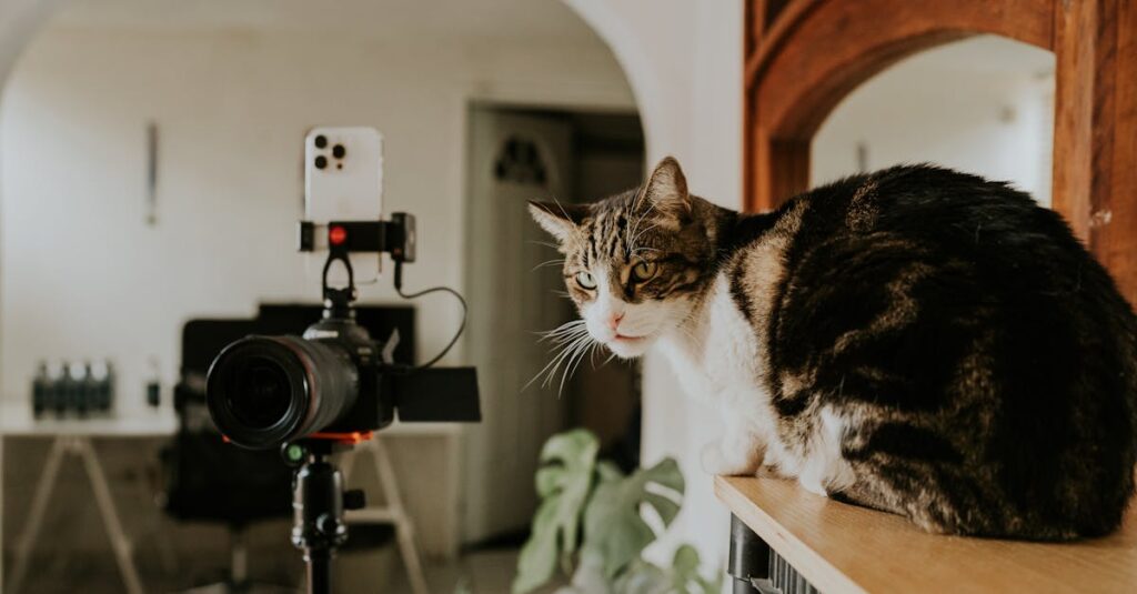 動線マップ作成後に片付けがうまくいかない場合の原因と対策例