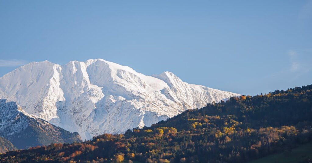 家事ルーティンを習慣化するためにチェックリストやタイムスケジュールを使っている家庭の様子