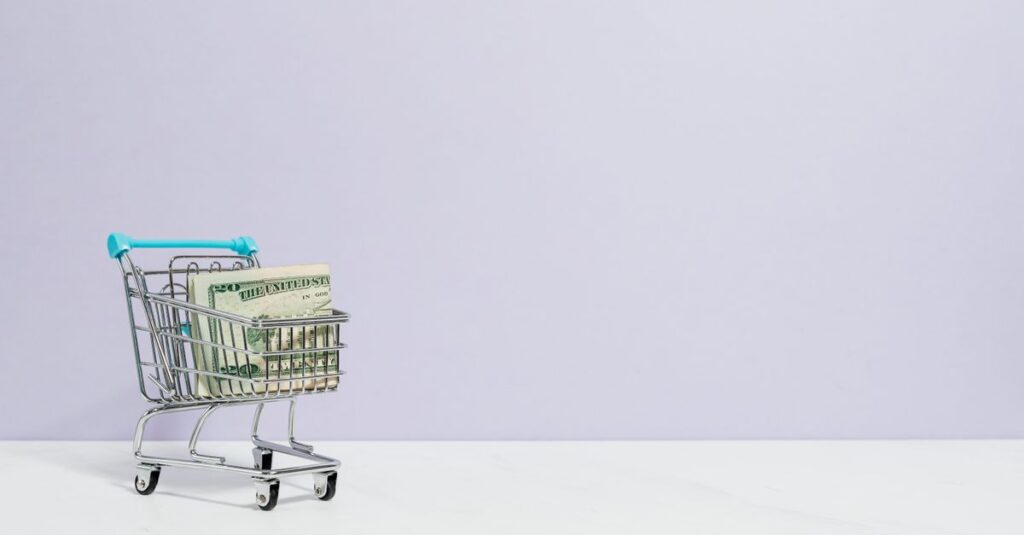 ネットスーパーの使い分けで家計を節約している主婦が満足そうにパソコンで確認している様子。