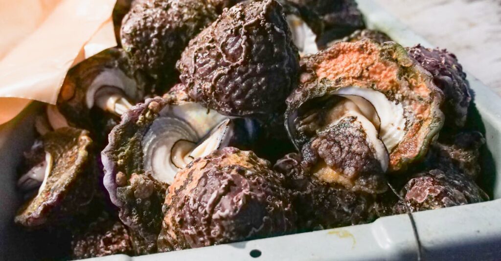 作り置き初心者向け、スマホアプリで手順表とレシピを管理する様子