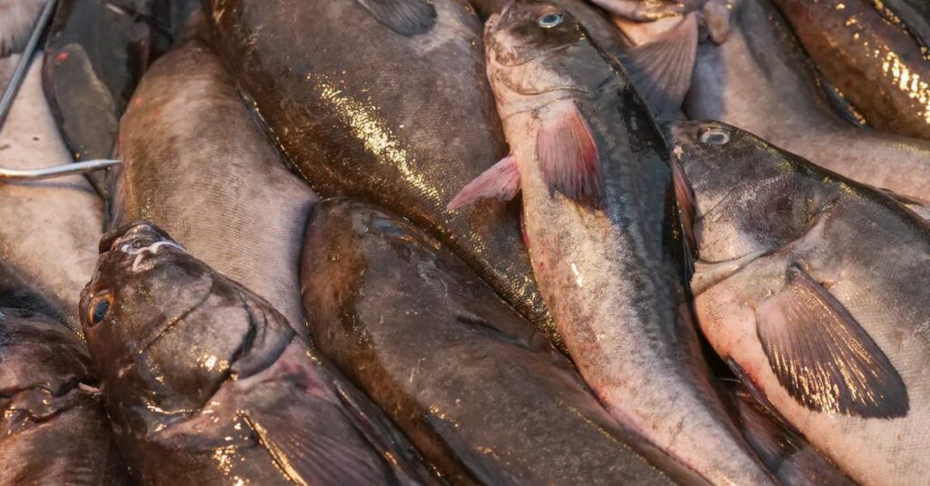 災害時や外出困難な状況でネットスーパーを活用して物資を確保している家庭の様子。