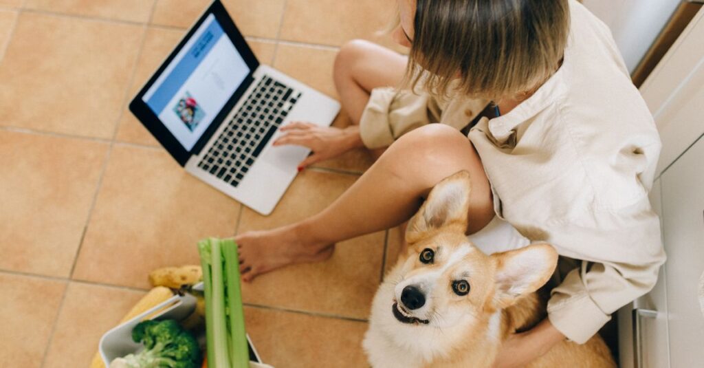 低価格で商品を提供するネットスーパーの画面を見て満足する主婦の様子。